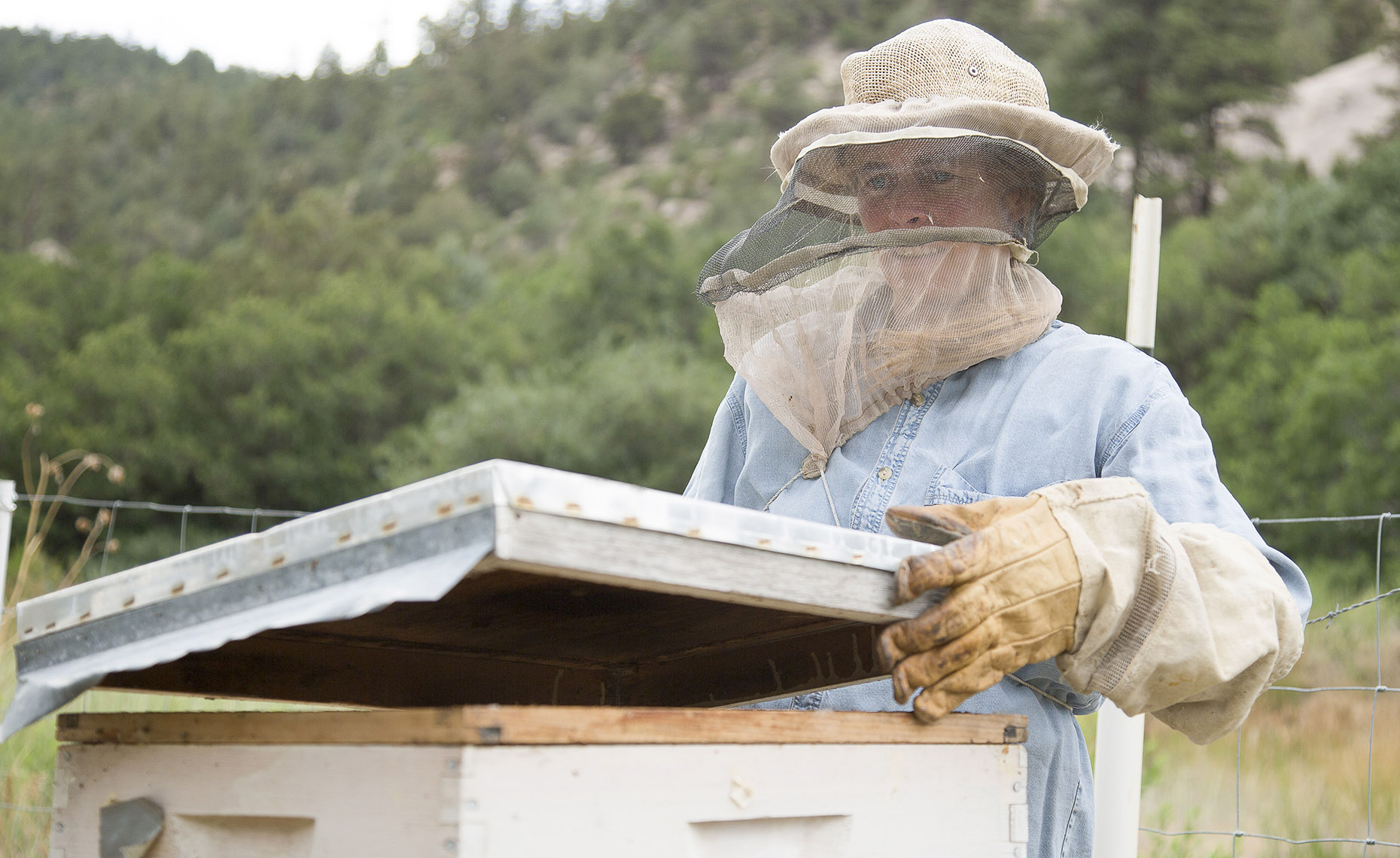 ScottDWSmithharvestdinnerbees_y2a1739copycopy